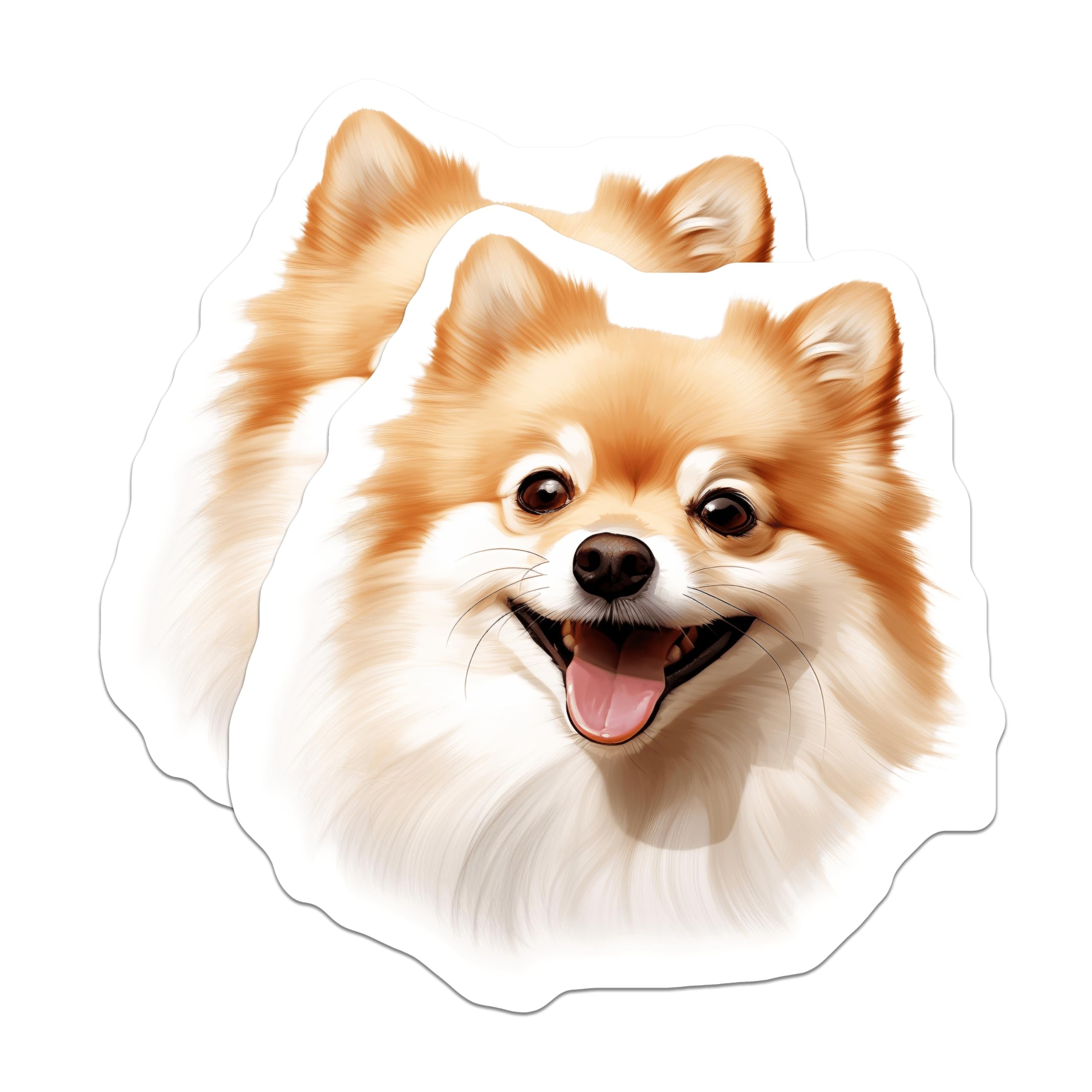 (2 Pack) Pomeranian Dog Magnets - Happy Fluffy Pet Lover - Cute Animal Refrigerator Accent - Dog Mom Dad Home Decor - 5 Inches On Longest Side - Thick Durable Magnet - Made in USA - MAG28083