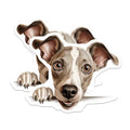 (2 Pack) Dog Lover Refrigerator Decor Magnet - 5" On Longest Side - Sticks to Smooth Flat Surfaces - Made in USA - MAG10204