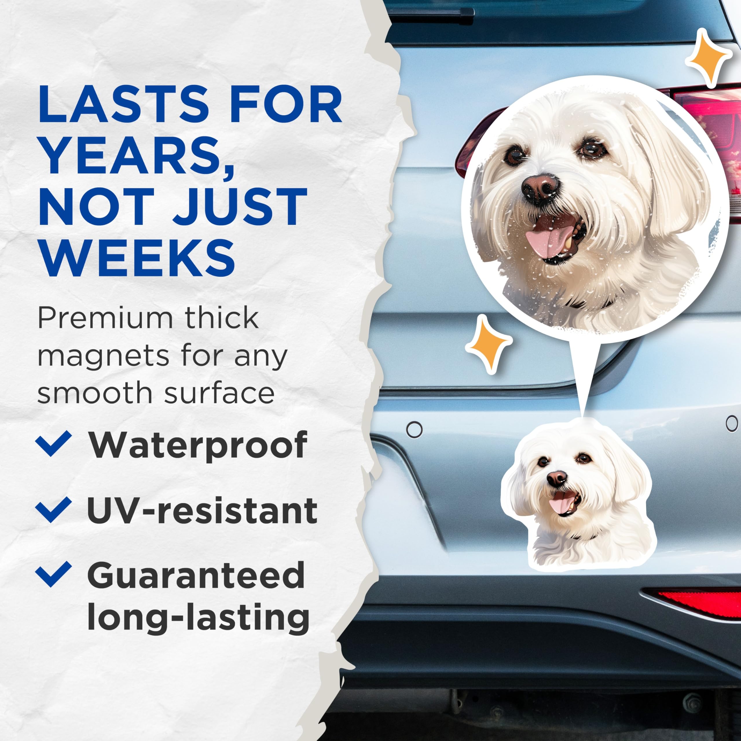 (2 Pack) Maltese Dog Magnets - Happy Fluffy White Puppy Fridge Refrigerator Magnets - Dog Mom Kitchen Locker Decor - 5 Inches On Longest Side - Thick Durable Magnet - Made in USA - MAG29594