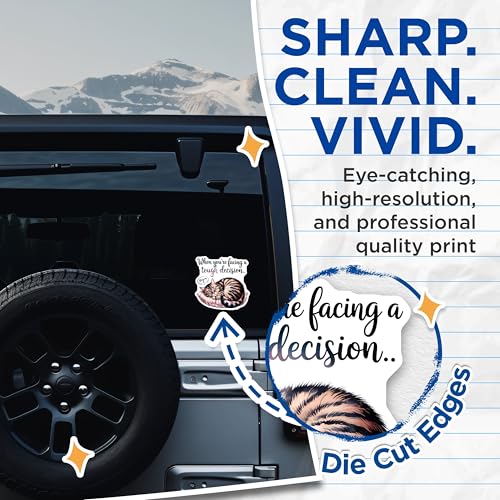(2 Pack) Cat Inspirational Quote Stickers - When You're Facing a Tough Decision - Sleep on It - 5" On Longest Side - Sticks to Smooth Flat Surfaces - Made in USA - BMCS6069