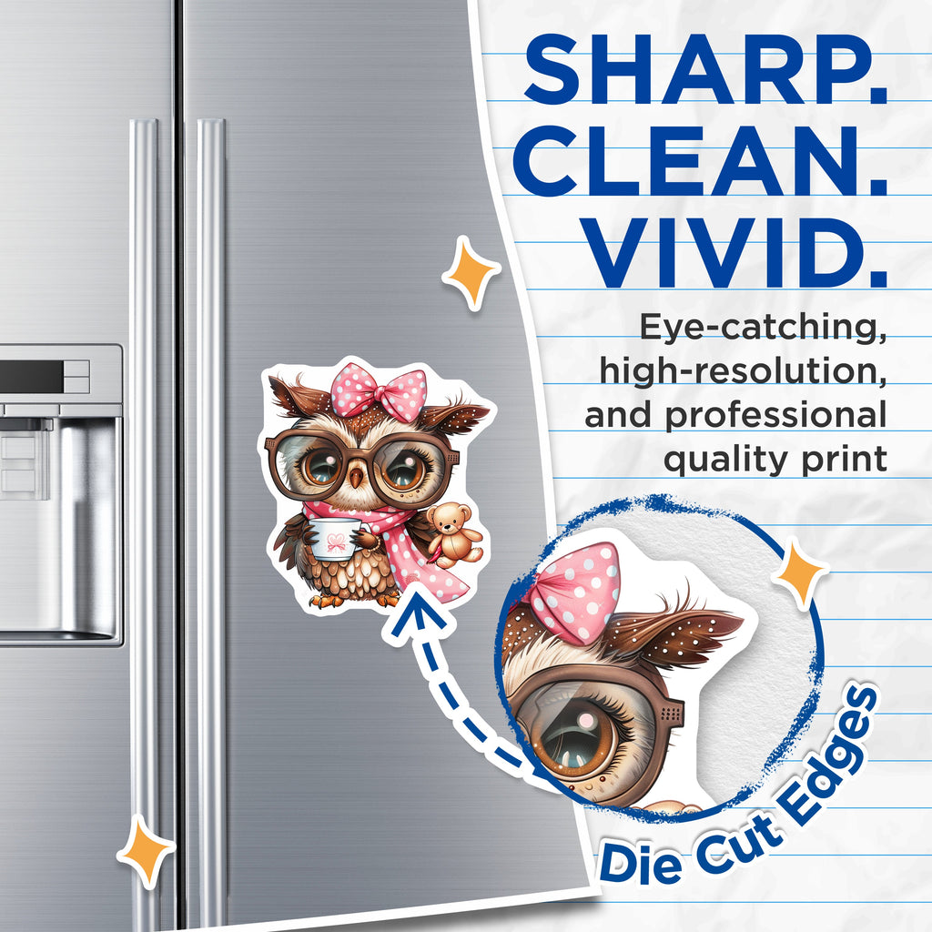 (2 Pack) Cute Owl with Glasses Magnets - Book Lover Teacher Decor - Cozy Aesthetic Fridge Locker Magnets - 5 Inches On Longest Side - Thick Durable Magnet - Made in USA - MAG39404