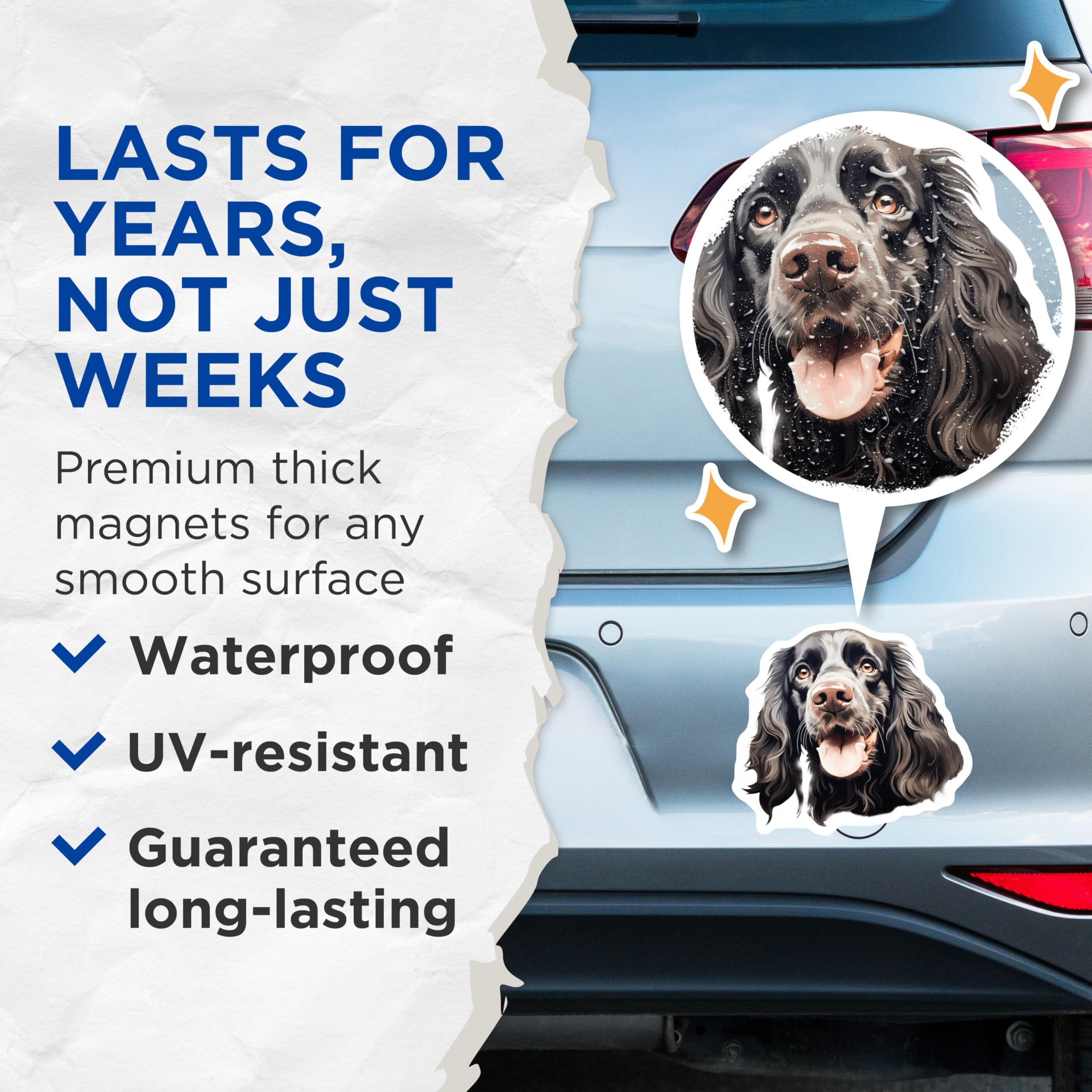 (2 Pack) Black Spaniel Dog Magnets - Cocker Spaniel Art - Dog Lover Fridge Decor for Pet Owners - 5 Inches On Longest Side - Thick Durable Magnet - Made in USA - MAG27856