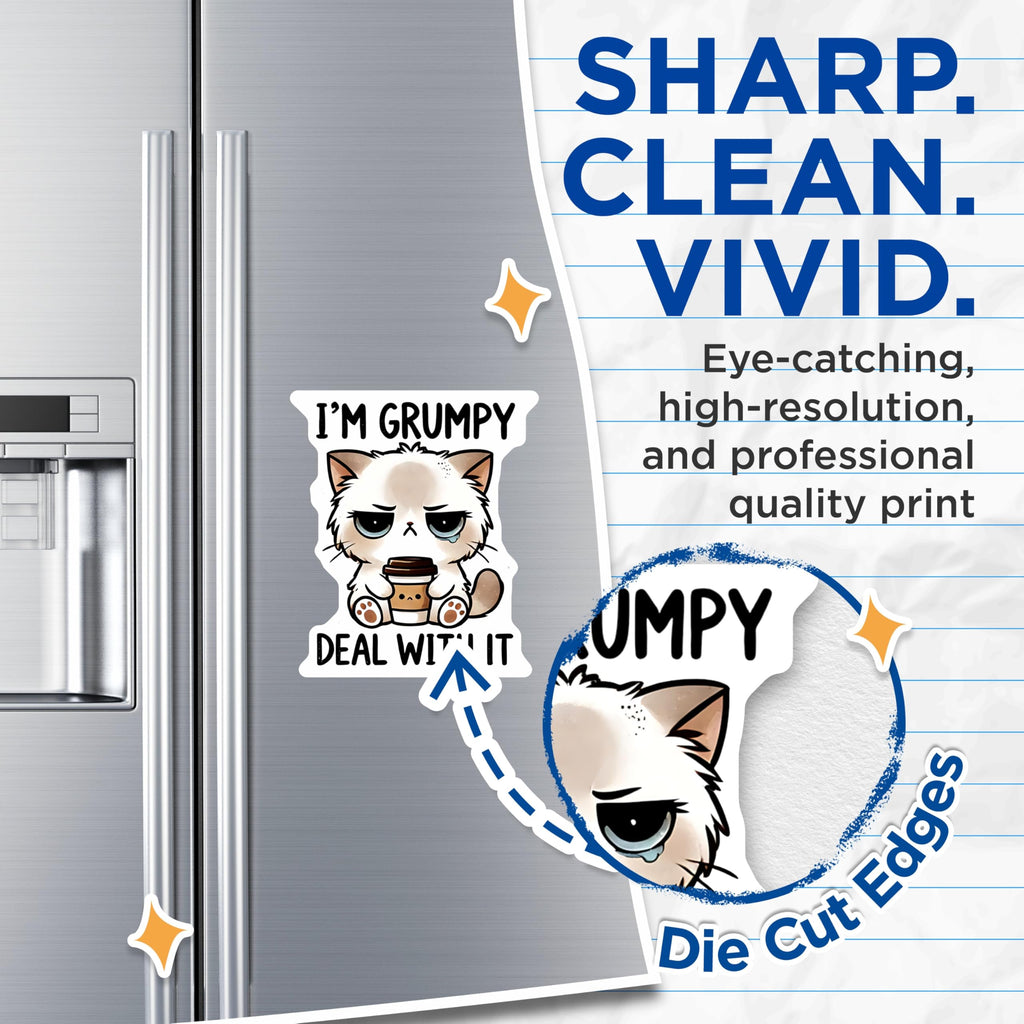 (2 Pack) Grumpy Cat Magnets - Funny Feline Humor - Coffee Lover Magnet - 5" On Longest Side - Premium Magnet - for Cars, Refrigerators, Toolboxes, Lockers - Made in USA - MAG14670