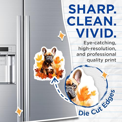 (2 Pack) French Bulldog Magnets - Autumn Dog Decor - Pet Lover Fridge Accent - Fall Kitchen Decoration - 5 Inches On Longest Side - Thick Durable Magnet - Made in USA - MAG29182