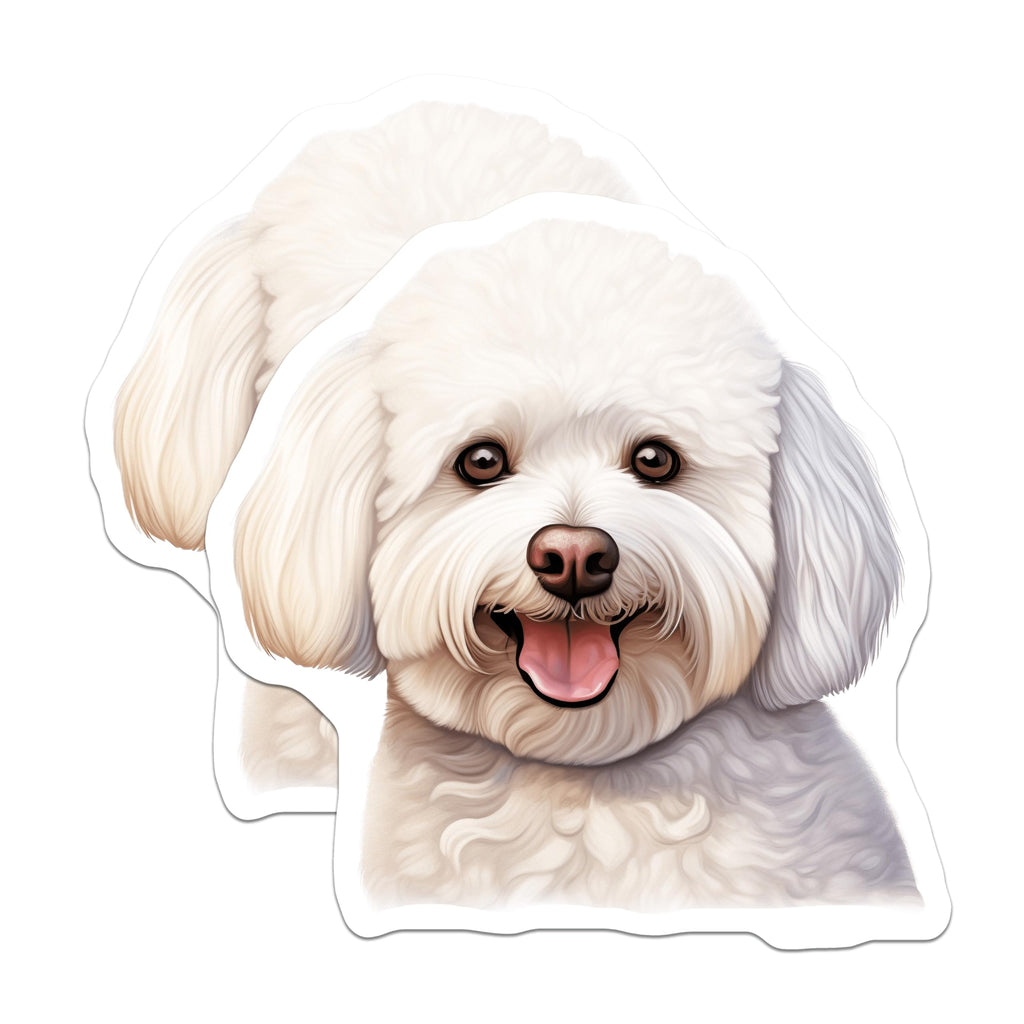(2 Pack) Bichon Frise Dog Magnets - White Fluffy Puppy Lover Decor - Pet Parent Refrigerator Art - 5 Inches On Longest Side - Thick Durable Magnet - Made in USA - MAG27701