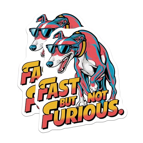 (2 Pack) Fast But Not Furious Magnets Magnets - Funny Dog - Cool Canine Artwork for Kitchen - 5" On Longest Side - Made in USA - Sticks to Refrigerators & Metal Surfaces - MAG8528