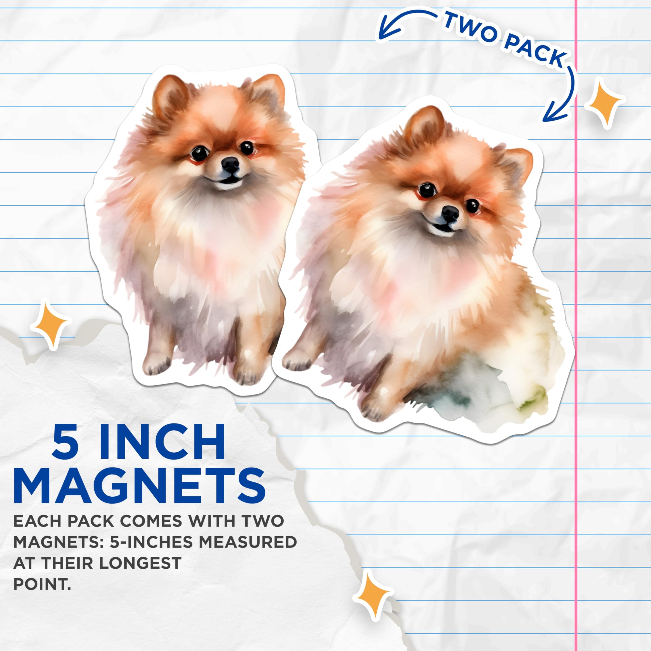 (2 Pack) Pomeranian Magnets - Cute Fluffy Dog Art - Refrigerator Decor for Dog Owners - 5 Inches On Longest Side - Thick Durable Magnet - Made in USA - MAG27879