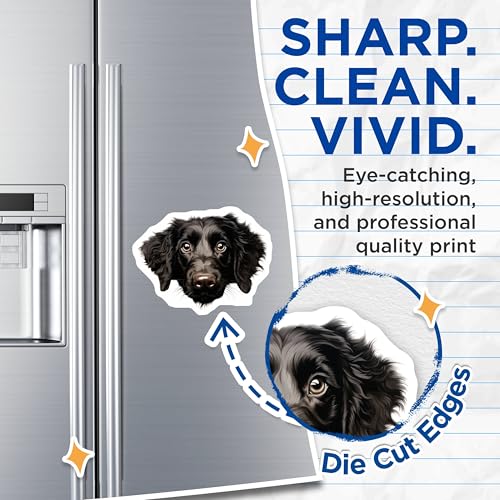 (2 Pack) Black Dog Face Decor Magnet - 5" On Longest Side - Sticks to Smooth Flat Surfaces - Made in USA - MAG9946