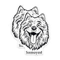 (2 Pack) Samoyed Dog Magnets - Animal Lover - Cute Pet Art for Fridge - 5" On Longest Side - for Cars, Fridges, Toolboxes - Made in USA - MAG4024