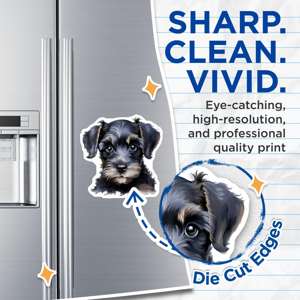 (2 Pack) Schnauzer Puppy Magnets - Cute Dog Art - Pet Lover Decor - 5 Inches On Longest Side - Thick Durable Magnet - Made in USA - MAG24719