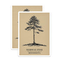 (2 Pack) Norway Pine Magnets - Minnesota State Tree Decor - Nature Art Collectibles - 5 Inches On Longest Side - Thick Durable Magnet - Made in USA - MAG19249