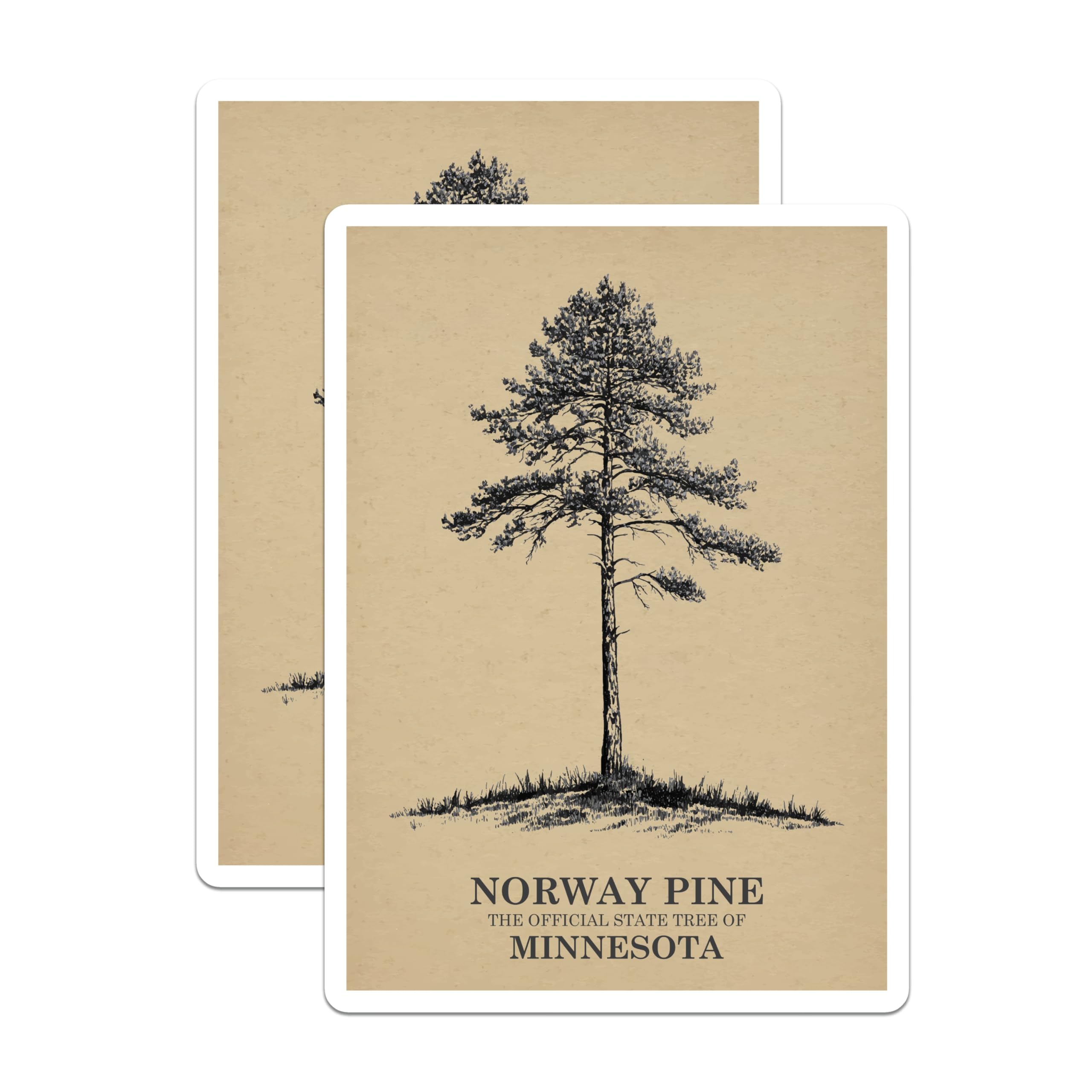 (2 Pack) Norway Pine Magnets - Minnesota State Tree Decor - Nature Art Collectibles - 5 Inches On Longest Side - Thick Durable Magnet - Made in USA - MAG19249