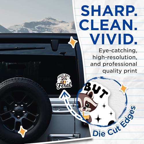 (2 Pack) Cute But Feral Stickers - Raccoon Drink Stickers - Adorable Animal Character Stickers - 5" On Longest Side - Sticks to Any Smooth Flat Surface - Made in USA - BMCS3410