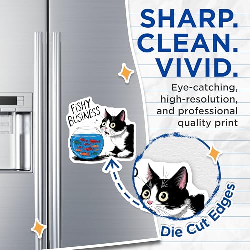 (2 Pack) Cat and Fish Bowl Magnets Magnets - Funny Animal Art - Fishy Business Jokes - 5" On Longest Side - Made in USA - Sticks to Refrigerators & Metal Surfaces - MAG8770