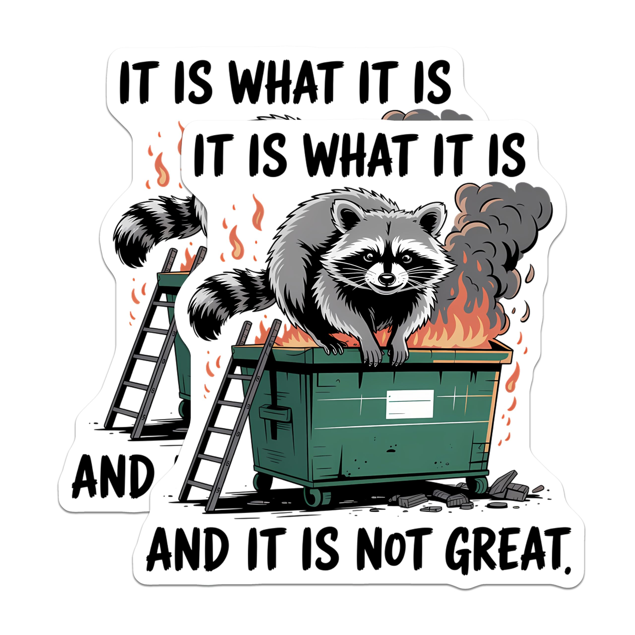 (2 Pack) Raccoon Dumpster Fire Stickers - It is What It is Meme - Trash Panda Sarcasm - Funny Animal Sticker - 5" On Longest Side - Sticks to Smooth Flat Surfaces - Made in USA - BMCS20930