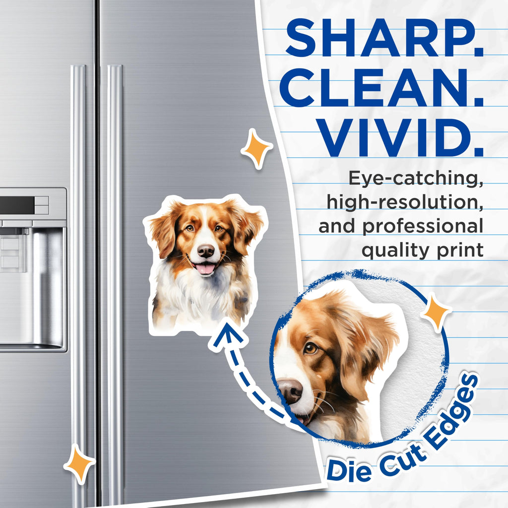 (2 Pack) Australian Shepherd Magnets - Watercolor Happy Dog - Pet Lover Decor - Fridge Art Magnet - 5 Inches On Longest Side - Thick Durable Magnet - Made in USA - MAG23355
