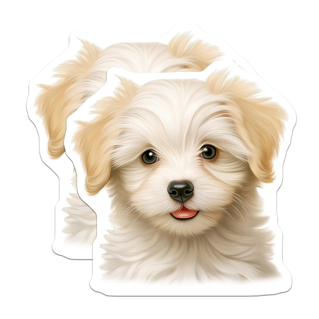 (2 Pack) Adorable Fluffy Puppy Magnets - Sweet Cream White Dog Face - Charming Pet Refrigerator Home Kitchen Decor - 5 Inches On Longest Side - Thick Durable Magnet - Made in USA - MAG23800
