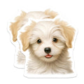 (2 Pack) Adorable Fluffy Puppy Magnets - Sweet Cream White Dog Face - Charming Pet Refrigerator Home Kitchen Decor - 5 Inches On Longest Side - Thick Durable Magnet - Made in USA - MAG23800