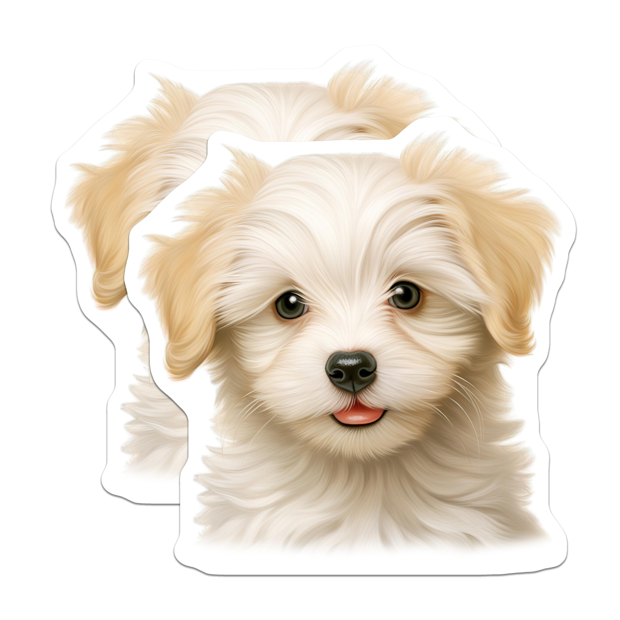 (2 Pack) Adorable Fluffy Puppy Magnets - Sweet Cream White Dog Face - Charming Pet Refrigerator Home Kitchen Decor - 5 Inches On Longest Side - Thick Durable Magnet - Made in USA - MAG23800