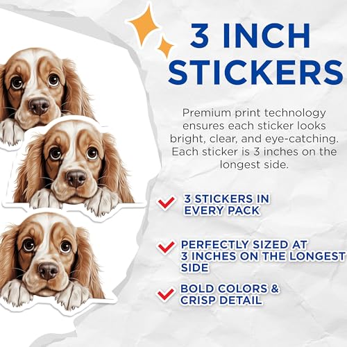 (3 Pack) Cocker Spaniel Decals - Dog Breed Stickers - Laptop Decal - Pet Lover Decals - 3 Inches On Longest Side - Easy Peel & Apply - Made in USA - 3MCS8583