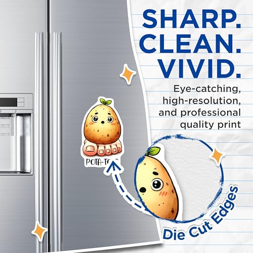 (2 Pack) Cute Potato Funny Magnets - Kitchen Fridge Decor - 5" On Longest Side - for Cars, Fridges, Toolboxes - Made in USA - MAG7590