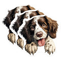 (3 Pack) Springer Spaniel Decals - Brown White Dog Breed - Laptop Car Decals - 3 Inches On Longest Side - Easy Peel & Apply - Made in USA - 3MCS8740