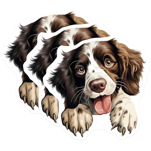 (3 Pack) Springer Spaniel Decals - Brown White Dog Breed - Laptop Car Decals - 3 Inches On Longest Side - Easy Peel & Apply - Made in USA - 3MCS8740