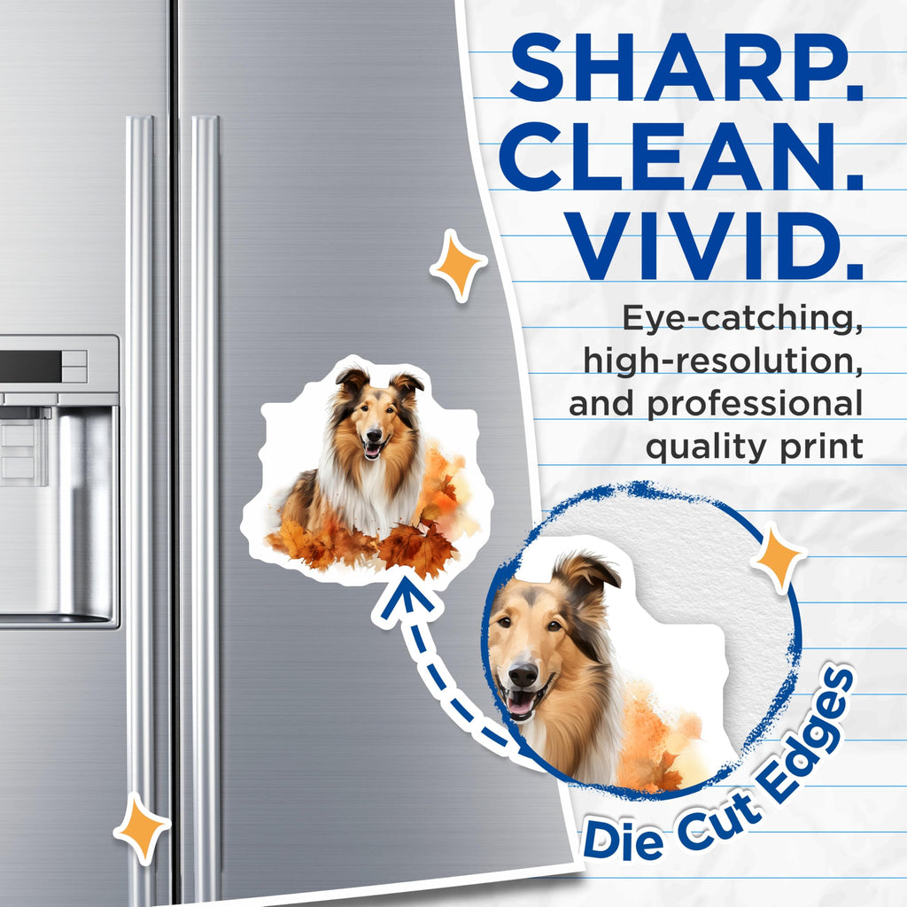(2 Pack) Collie Dog Magnets - Autumn Pet Art - Fall Decor for Home - Dog Lover Accessories - 5 Inches On Longest Side - Thick Durable Magnet - Made in USA - MAG26508