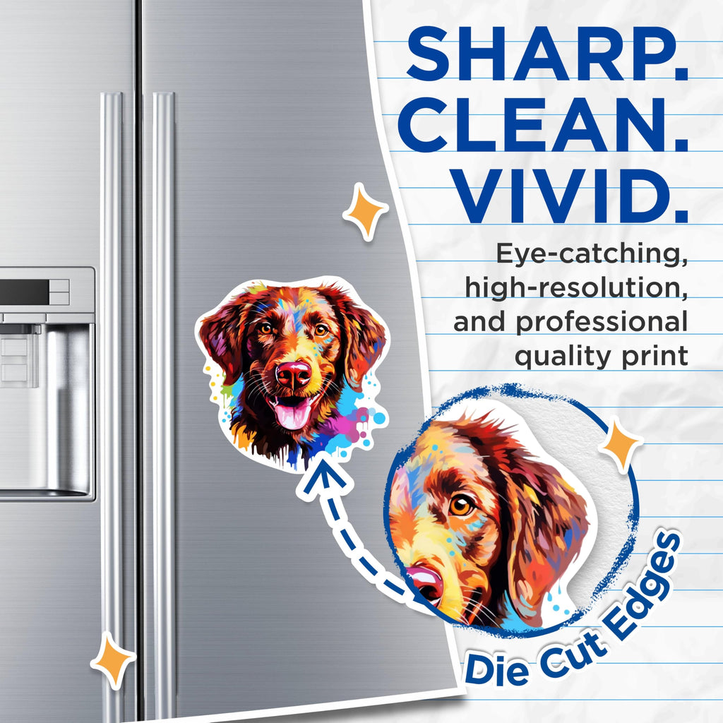 (2 Pack) Chesapeake Bay Retriever Dog Breed Magnets - 5 Inches On Longest Side - Choose from Over 100 Dog Breeds - for Cars, Refrigerators, Toolboxes - Made in USA - MAG1822