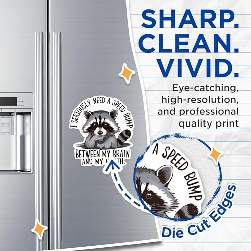 (2 Pack) Funny Raccoon Quote Magnets - Speed Bump Brain Mouth Quote Magnets - Cute Animal Magnets for Office or Fridge- 5" On Longest Side - for Fridges, Toolboxes, Cars - Made in USA - MAG3040