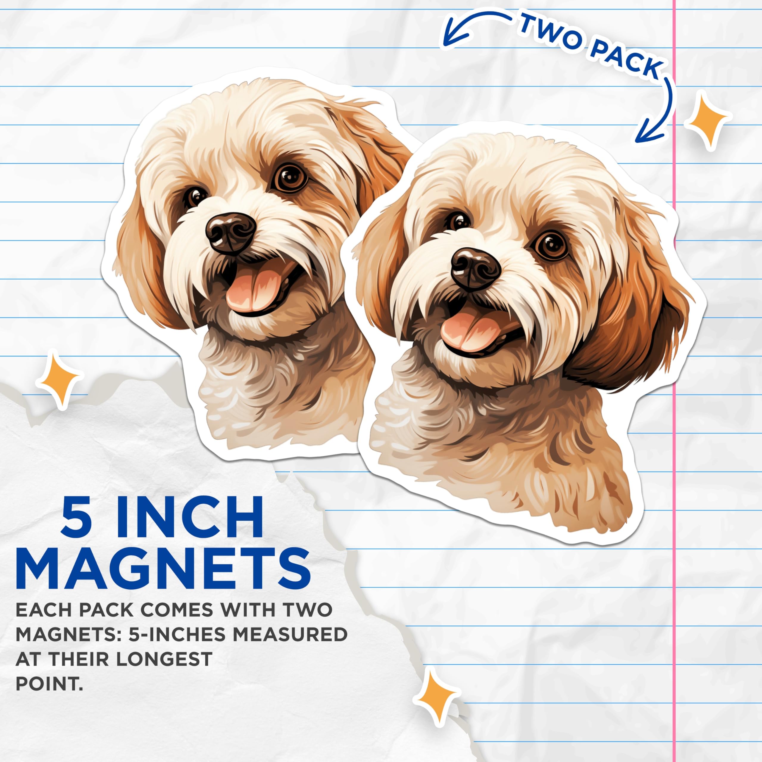 (2 Pack) Havanese Dog Magnets - Cute Fluffy Dog Decor - Pet Owner Kitchen Accessories - Puppy Lover Art - 5 Inches On Longest Side - Thick Durable Magnet - Made in USA - MAG29915
