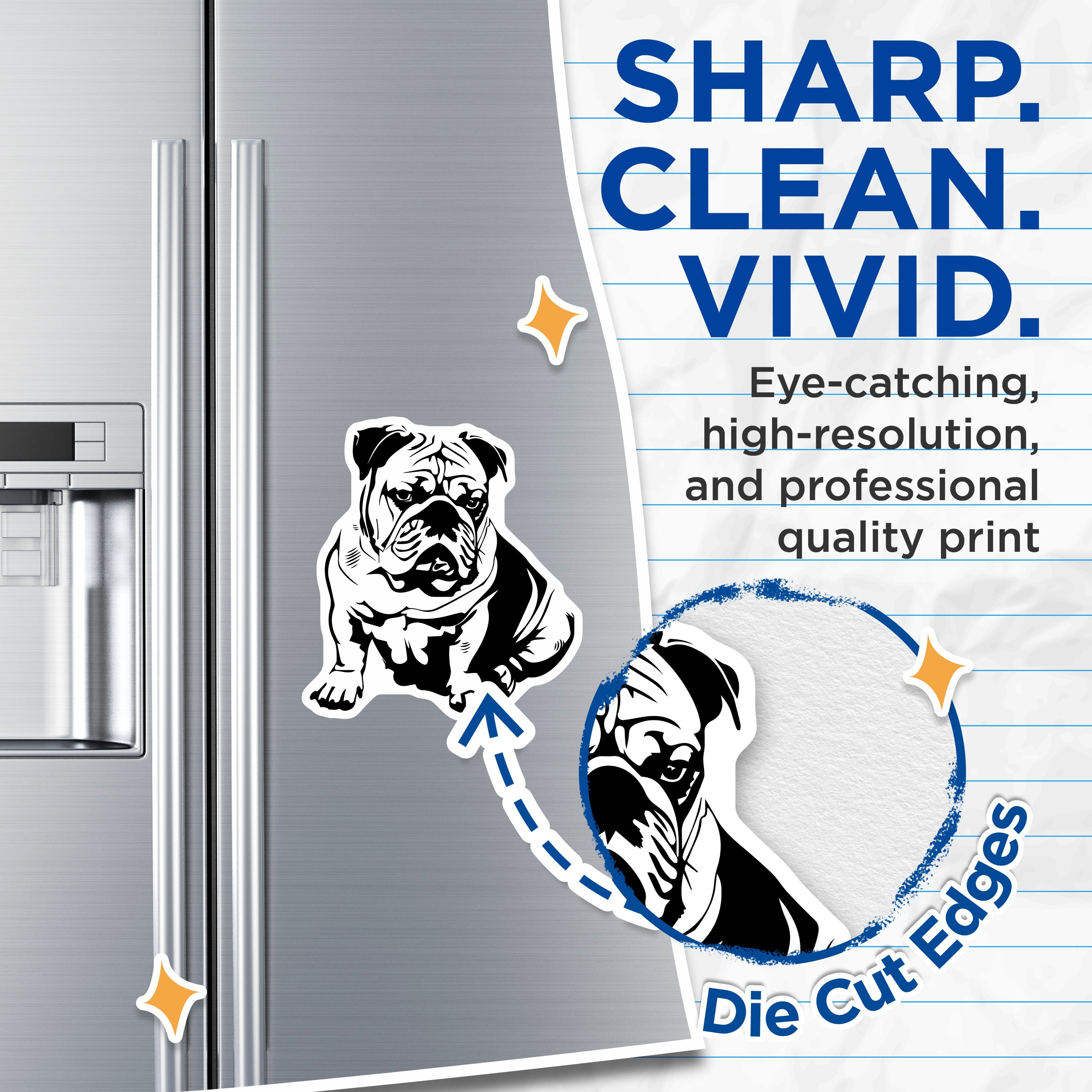 (2 Pack) Bulldog Magnets - English Bulldog Decor - Dog Breed Lover Item - Pet Owner Fridge Magnet - Animal Art - 5 Inches On Longest Side - Thick Durable Magnet - Made in USA - MAG36108