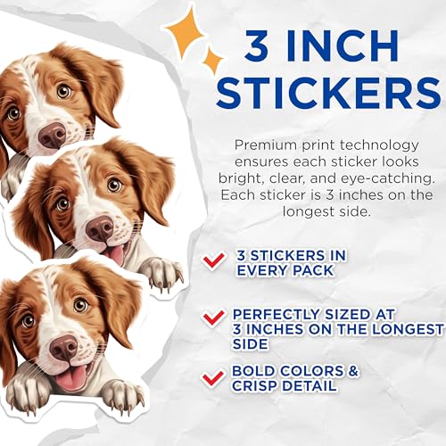 (3 Pack) Brittany Spaniel Decals - Cute Dog Breed Stickers - Laptop Decals - 3 Inches On Longest Side - Easy Peel & Apply - Made in USA - 3MCS8652