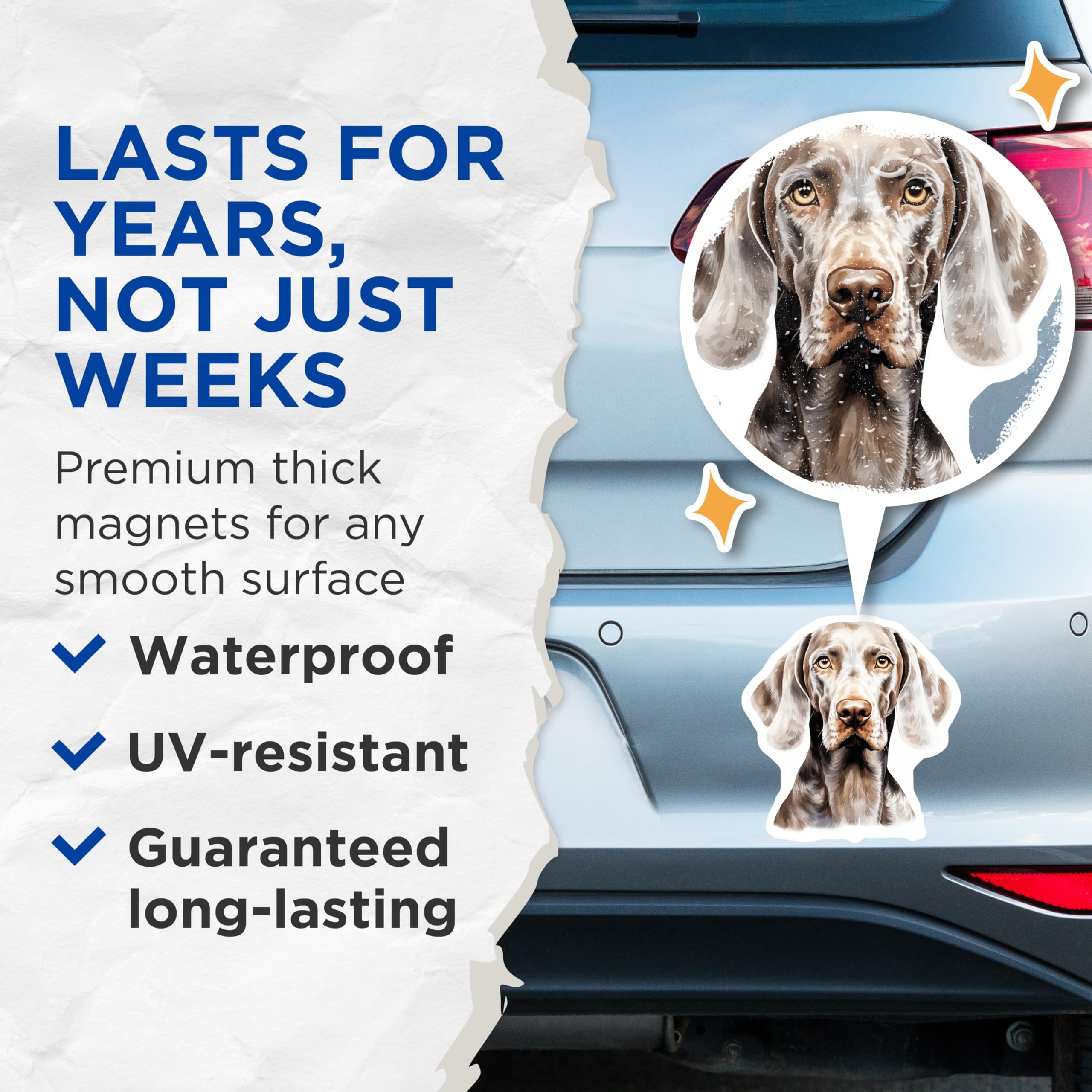 (2 Pack) Weimaraner Dog Magnets - Weimaraner Owner Fridge Accent - Canine Breed Art - Pet Lover Home Decor - 5 Inches On Longest Side - Thick Durable Magnet - Made in USA - MAG27161