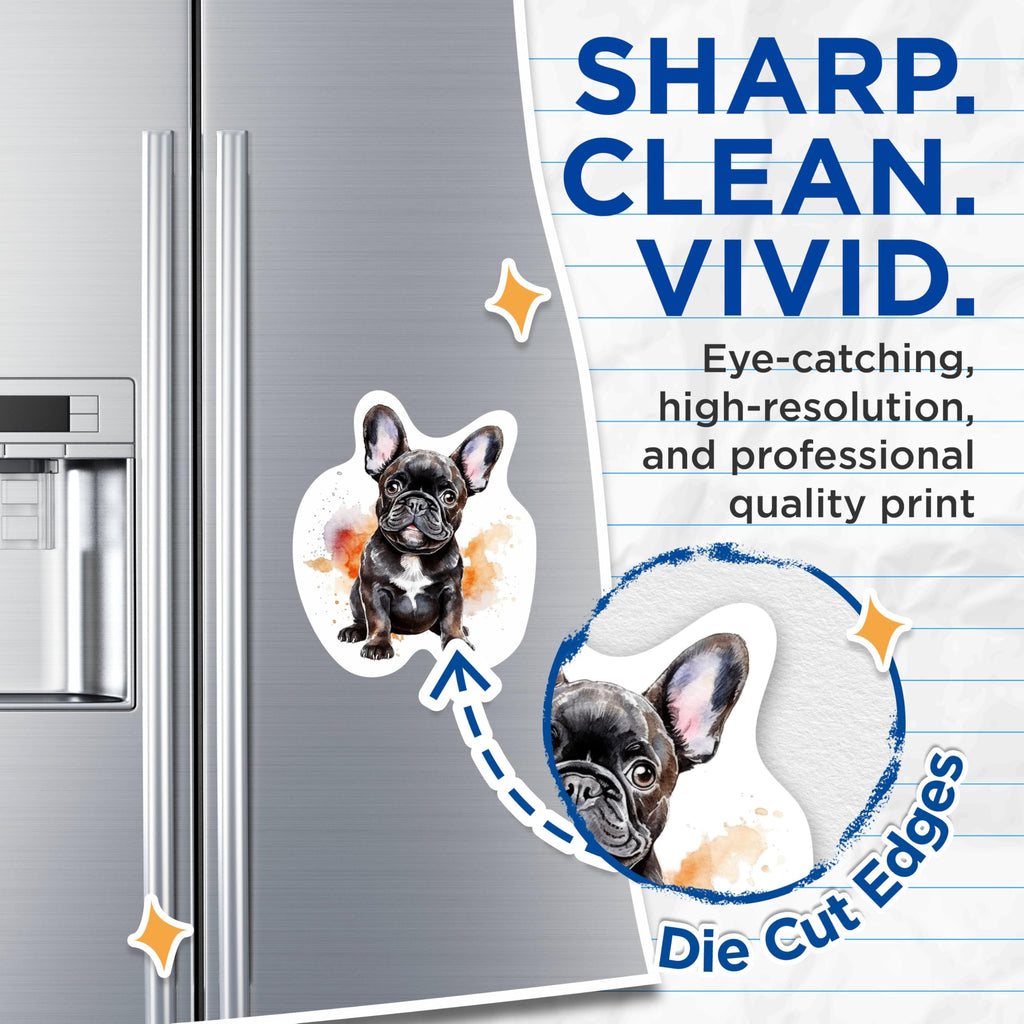 (2 Pack) French Bulldog Magnets - French Bulldog Dog Breed Magnets - Frenchie Breed - 5 Inches On Longest Side - Premium Magnet - for Cars, Refrigerators, Toolboxes - Made in USA - MAG2193