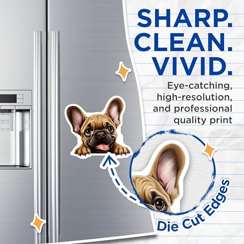 (2 Pack) Dog Lover Decor Magnet - 5" On Longest Side - Sticks to Smooth Flat Surfaces - Made in USA - MAG10169