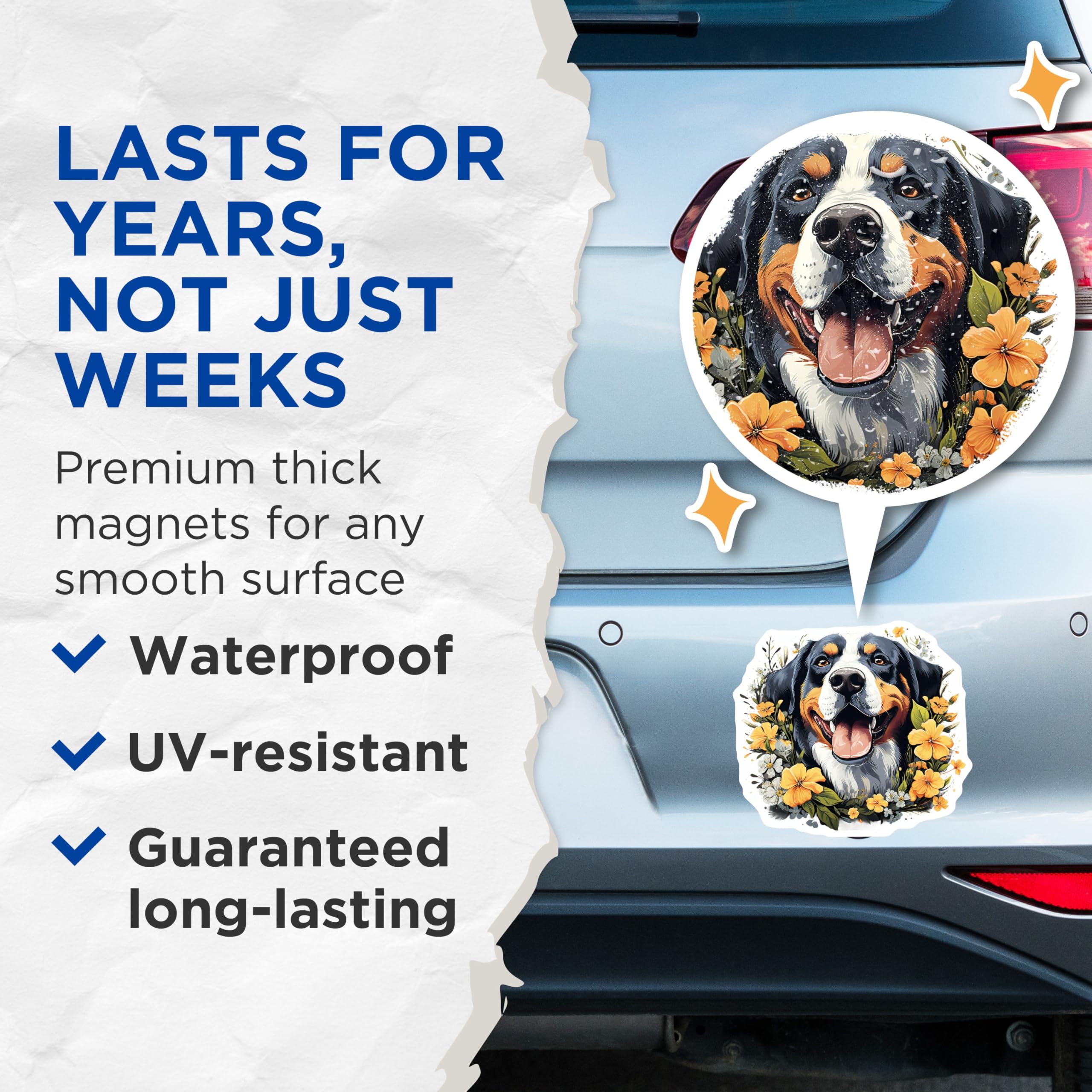 (2 Pack) Bernese Mountain Dog Magnets - Happy Berner Dog Mom Accessories - Floral Pet Owner Kitchen Decor - 5 Inches On Longest Side - Thick Durable Magnet - Made in USA - MAG29850