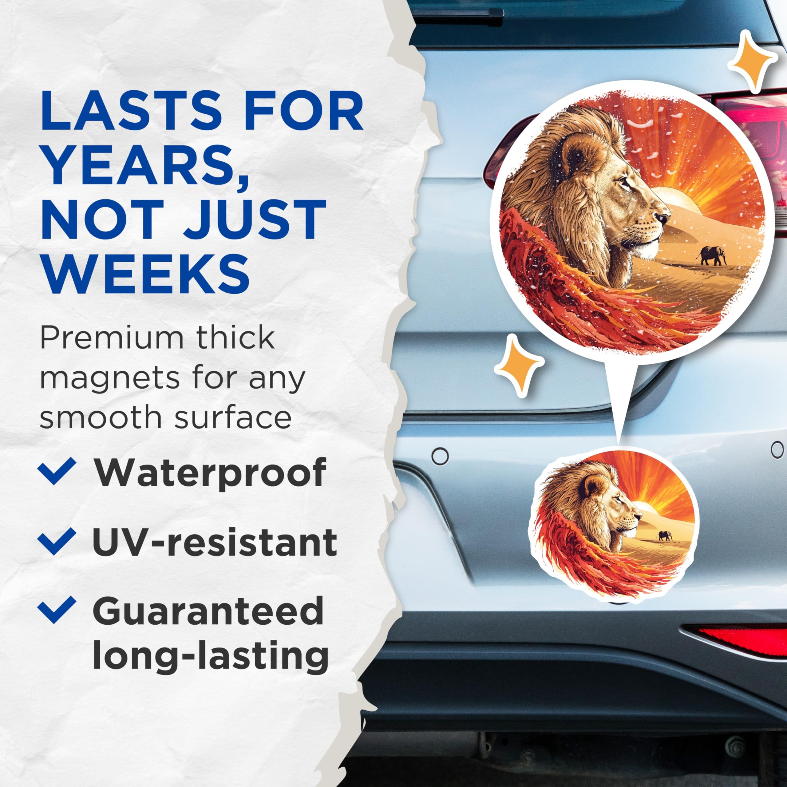 (2 Pack) Lion Magnets - African Safari Decor - Majestic Wildlife Animal Art - 5 Inches On Longest Side - Thick Durable Magnet - Made in USA - MAG21148