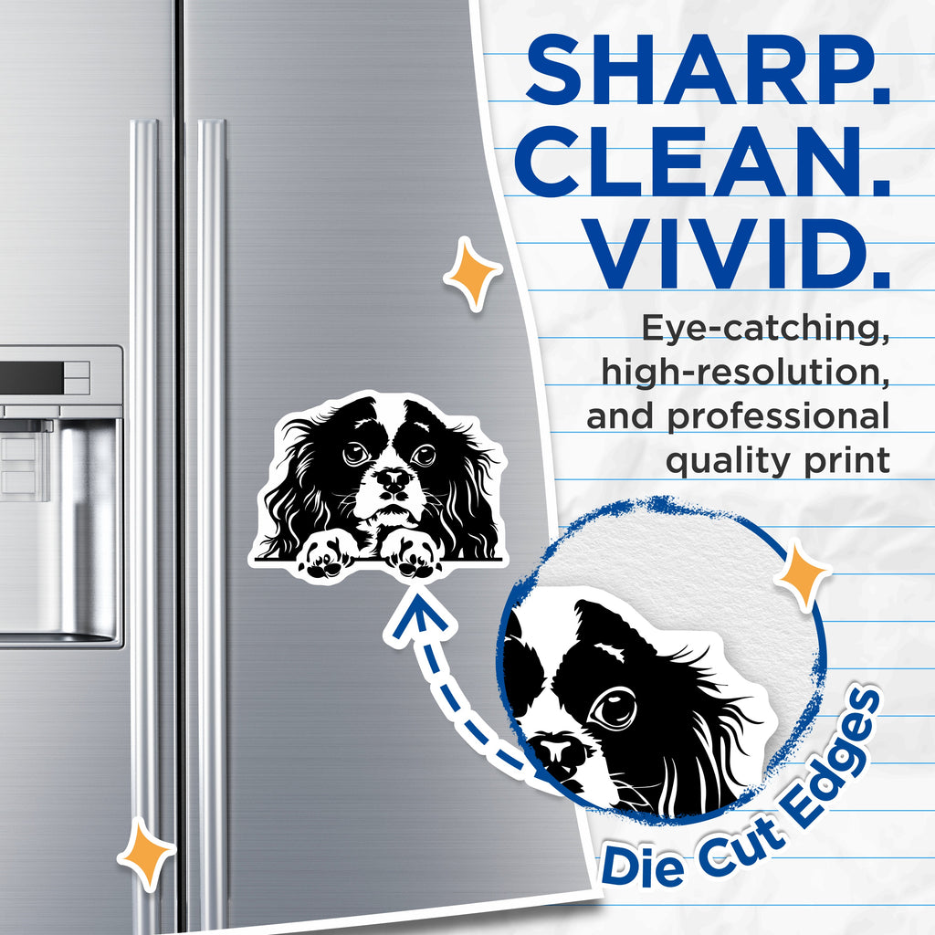 (2 Pack) Cavalier King Charles Spaniel Magnets - Dog Mom Refrigerator Decor - Pet Owner Kitchen Accessory - 5 Inches On Longest Side - Thick Durable Magnet - Made in USA - MAG37823