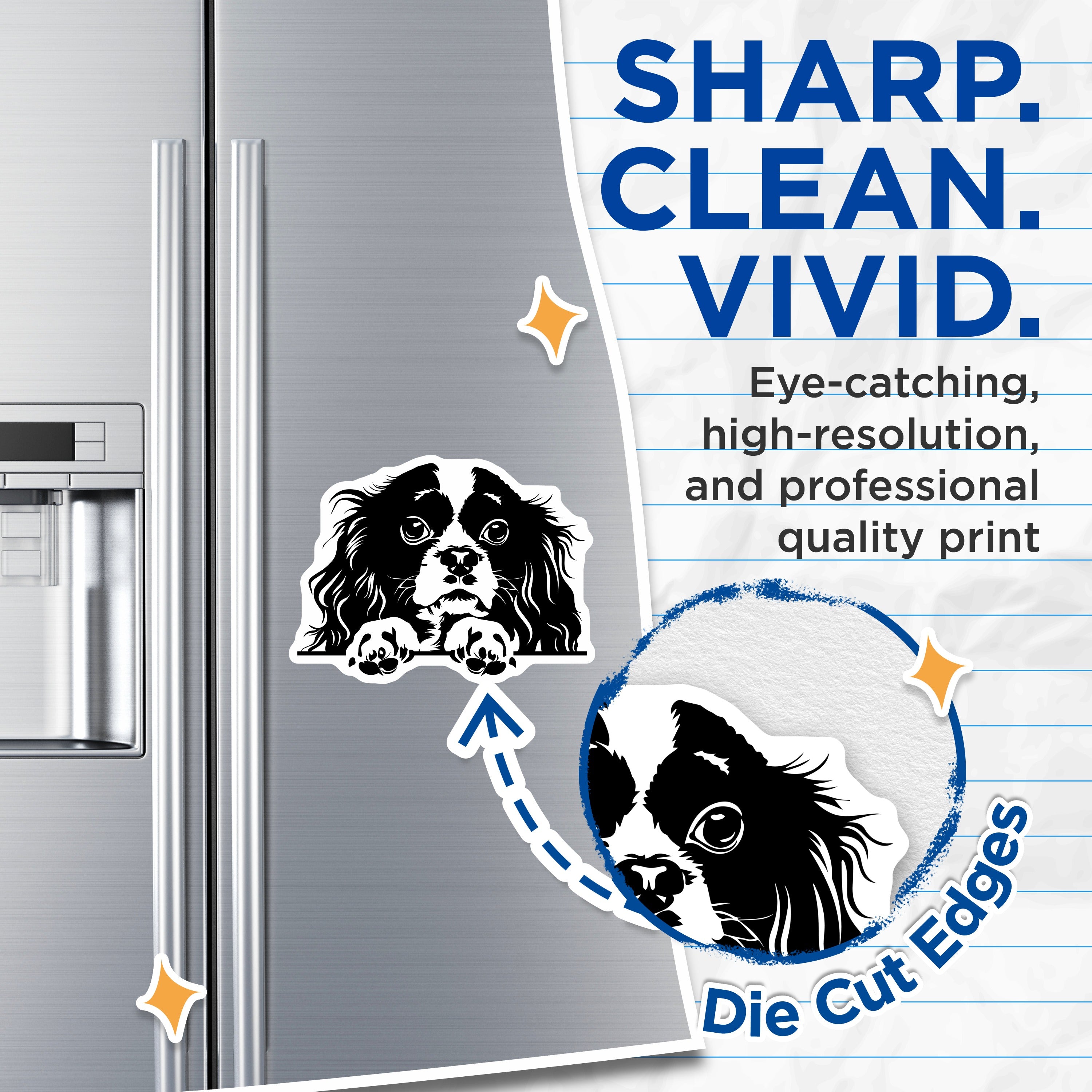 (2 Pack) Cavalier King Charles Spaniel Magnets - Dog Mom Refrigerator Decor - Pet Owner Kitchen Accessory - 5 Inches On Longest Side - Thick Durable Magnet - Made in USA - MAG37823