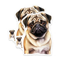 (2 Pack) Pug Dog Magnets - Adorable Pet Fridge Decor - Funny Animal Lover Kitchen Accessory - 5 Inches On Longest Side - Thick Durable Magnet - Made in USA - MAG25388