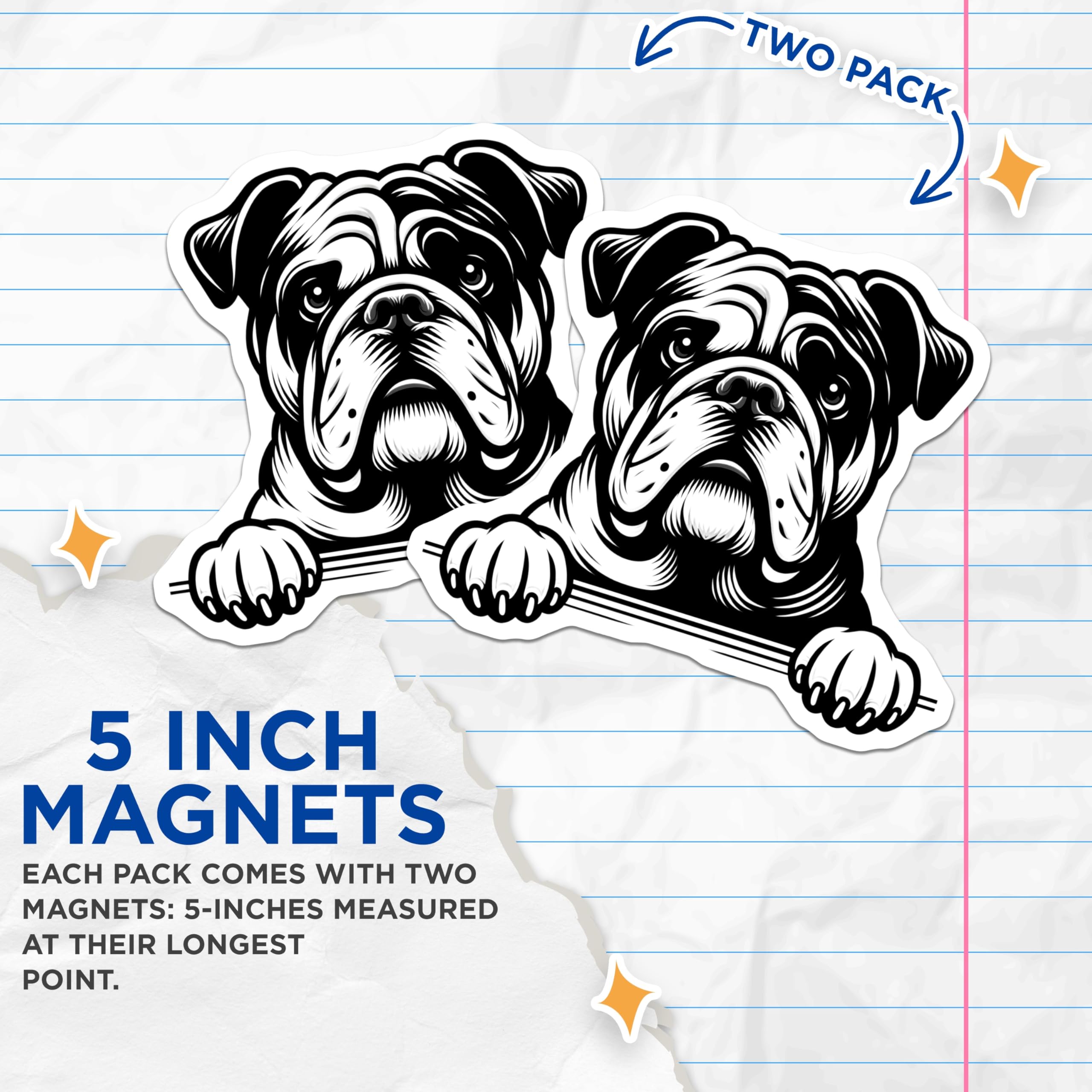 (2 Pack) Bulldog Magnets - English Bulldog Dog - Fridge Decor - 5" On Longest Side - Premium Magnet - for Cars, Refrigerators, Toolboxes, Lockers - Made in USA - MAG15927