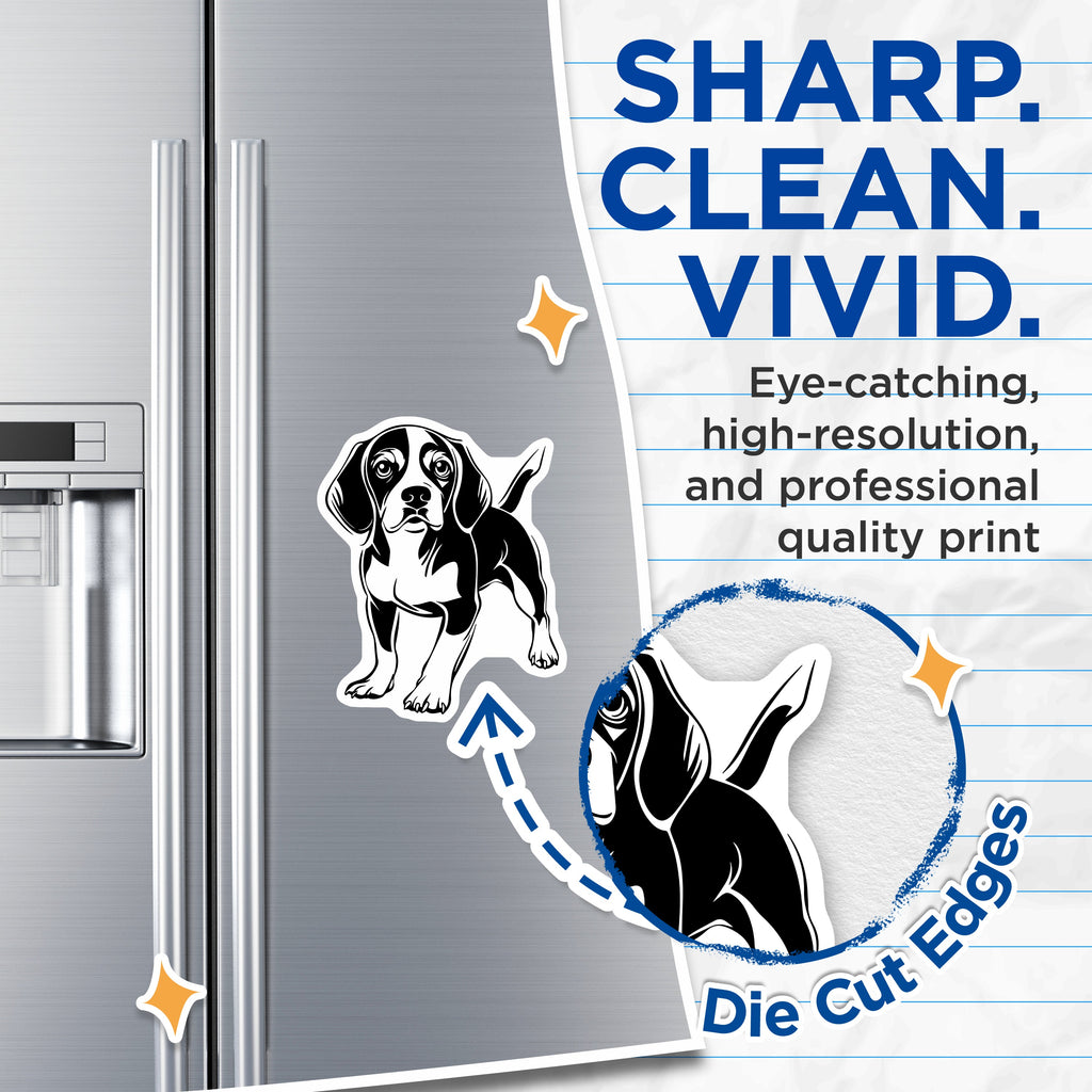 (2 Pack) Beagle Dog Magnets - Dog Lover Refrigerator Decor - Pet Owner Kitchen Display Item - 5 Inches On Longest Side - Thick Durable Magnet - Made in USA - MAG36674