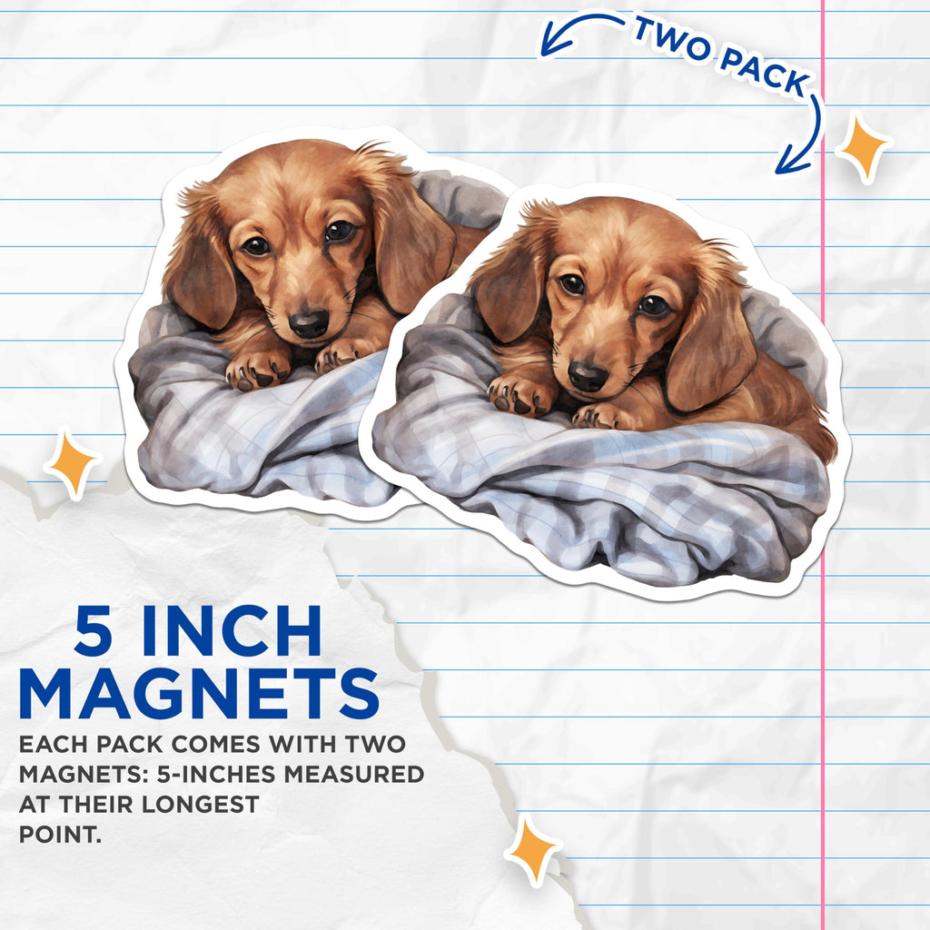 (2 Pack) Dachshund Magnets - Cute Puppy Decor - Pet Lover Fridge Accessories - 5" On Longest Side - Premium Magnet - for Cars, Refrigerators, Toolboxes, Lockers - Made in USA - MAG16488