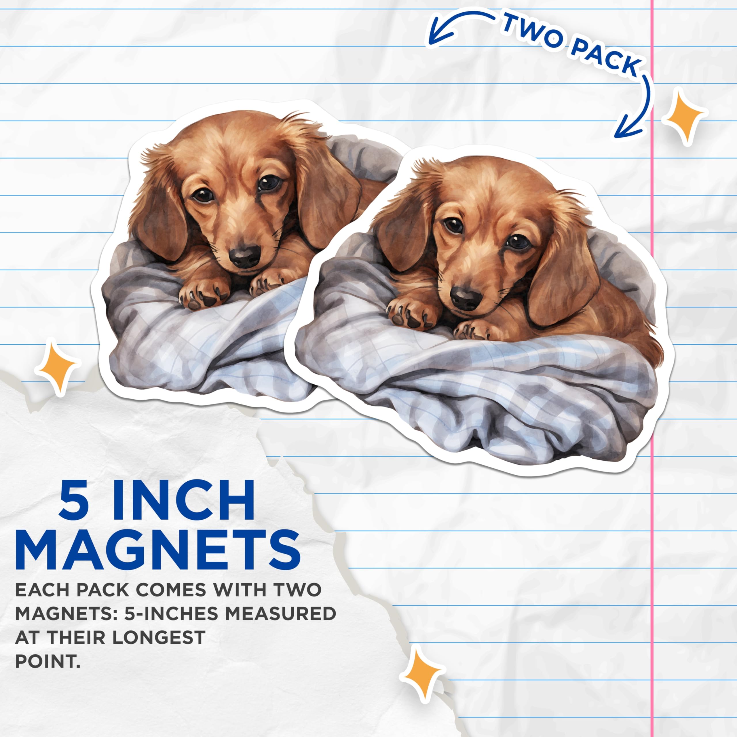 (2 Pack) Dachshund Magnets - Cute Puppy Decor - Pet Lover Fridge Accessories - 5" On Longest Side - Premium Magnet - for Cars, Refrigerators, Toolboxes, Lockers - Made in USA - MAG16488