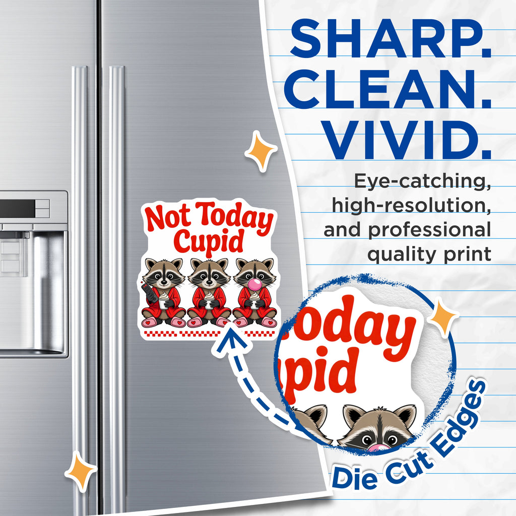 (2 Pack) Not Today Cupid Magnets - Funny Raccoon - Anti Valentine Humor - Cozy Animal Decor - Refrigerator Art - 5 Inches On Longest Side - Thick Durable Magnet - Made in USA - MAG37932