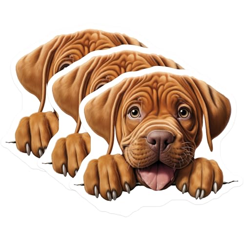 (3 Pack) Dogue de Bordeaux Decals - French Mastiff Stickers - Puppy Dog Lover Present - 3 Inches On Longest Side - Easy Peel & Apply - Made in USA - 3MCS8733