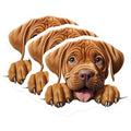 (3 Pack) Dogue de Bordeaux Decals - French Mastiff Stickers - Puppy Dog Lover Present - 3 Inches On Longest Side - Easy Peel & Apply - Made in USA - 3MCS8733