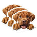 (3 Pack) Dogue de Bordeaux Decals - French Mastiff Stickers - Puppy Dog Lover Present - 3 Inches On Longest Side - Easy Peel & Apply - Made in USA - 3MCS8733