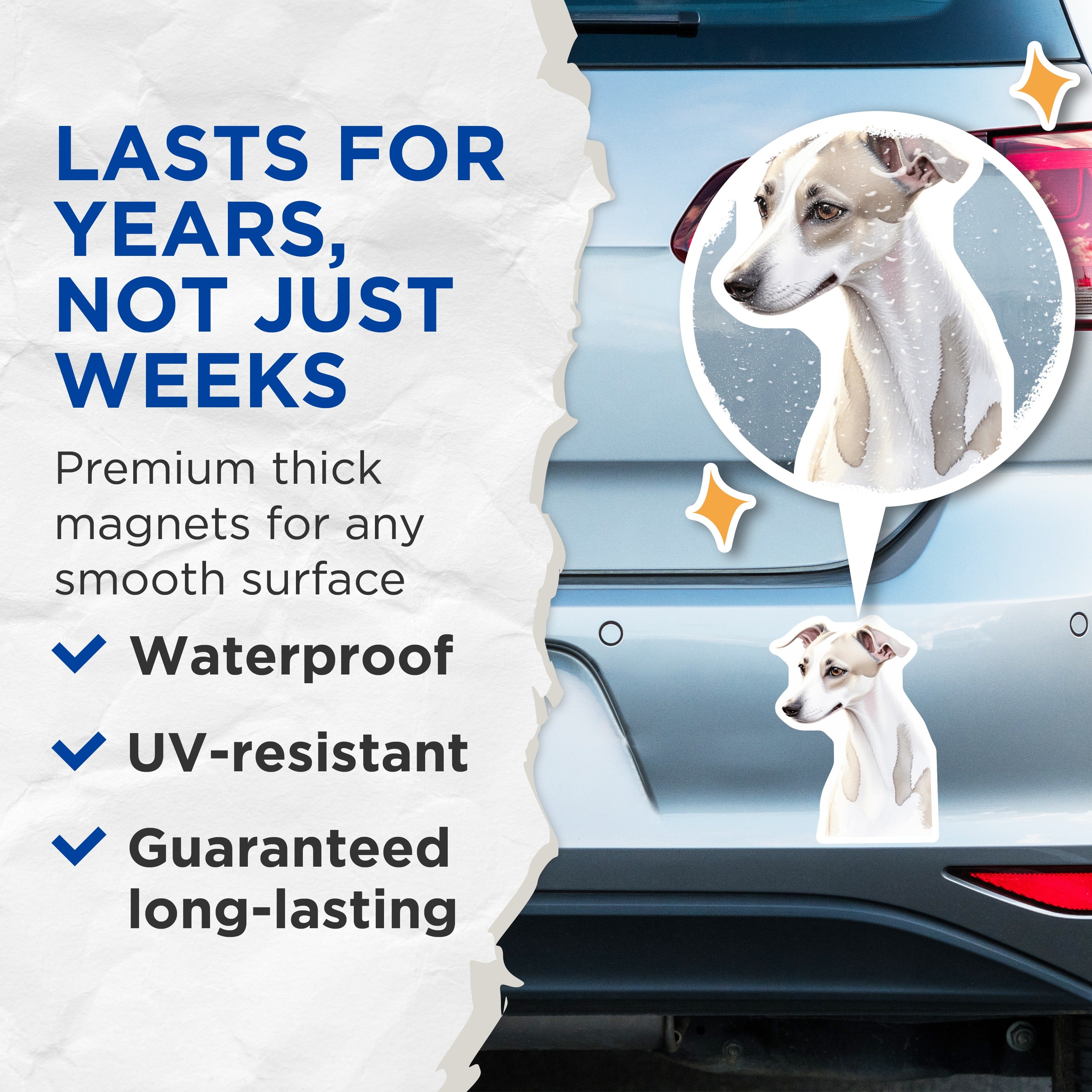(2 Pack) Italian Greyhound Magnets - Sighthound Dog Art - Pet Lover Home Decor Magnets - 5 Inches On Longest Side - Thick Durable Magnet - Made in USA - MAG39871